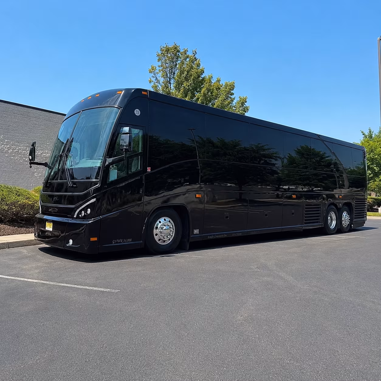 charter buses to port canaveral for cruise groups